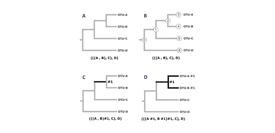 Branch_marks_plot