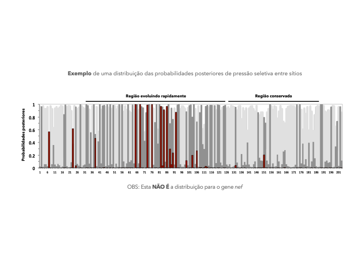 Posterior_plot