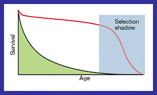 MUTATION ACCUMULATION THEORY